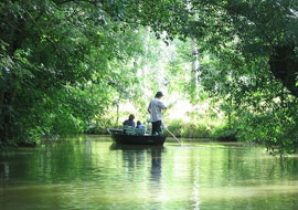 Marais Poitevin