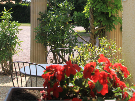 Terrasse fleurie